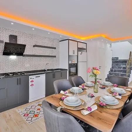 Luxury With Private Pool For 4 People In Patara Vilă