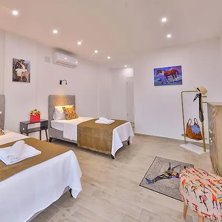 Luxury With Private Pool For 4 People In Patara * קס